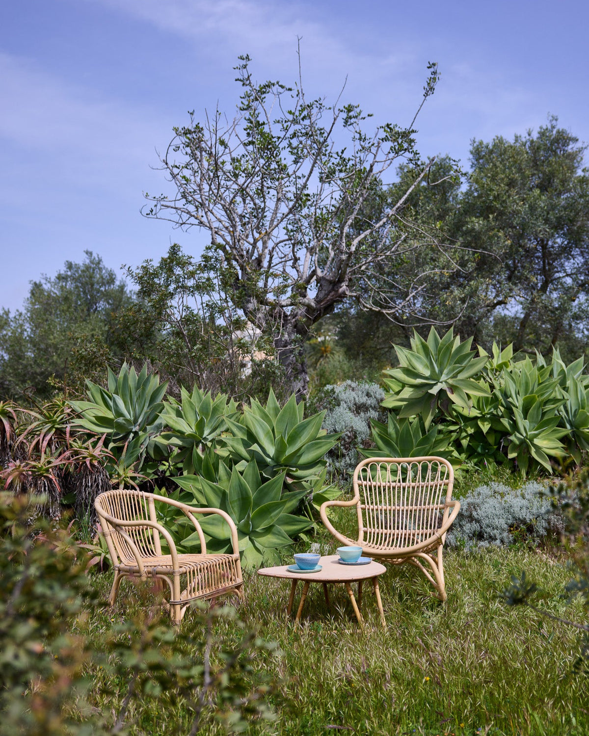 Zwei Rattansessel mit kleinem Tisch und blauen Keramikbechern in einem mediterranen Garten
